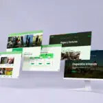 Rediseño de Sitio Web